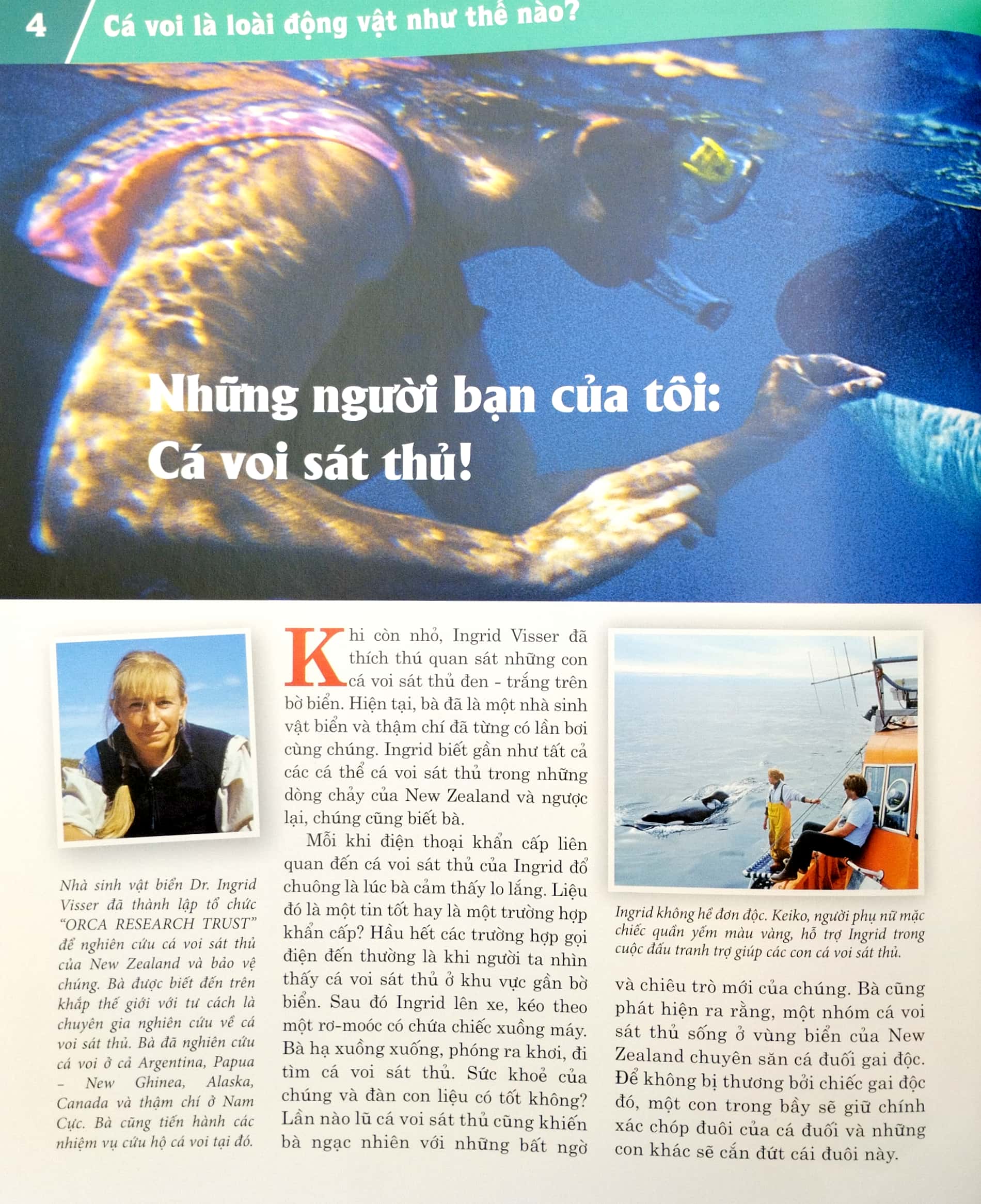 thế nào và tại sao - cá voi và cá heo - những con thú khổng lồ ôn hòa - bìa cứng (tái bản 2023) - Ảnh 6