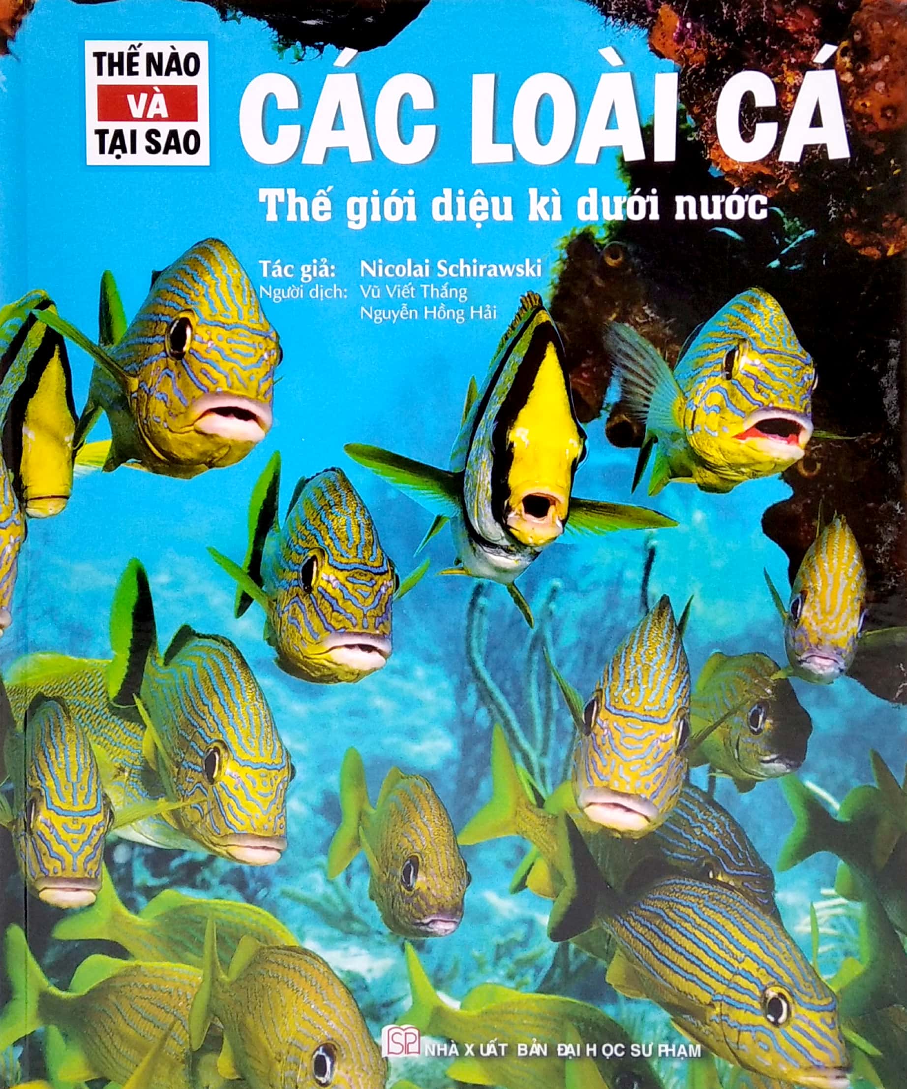 thế nào và tại sao - các loài cá - thế giới diệu kì dưới nước - Ảnh 2