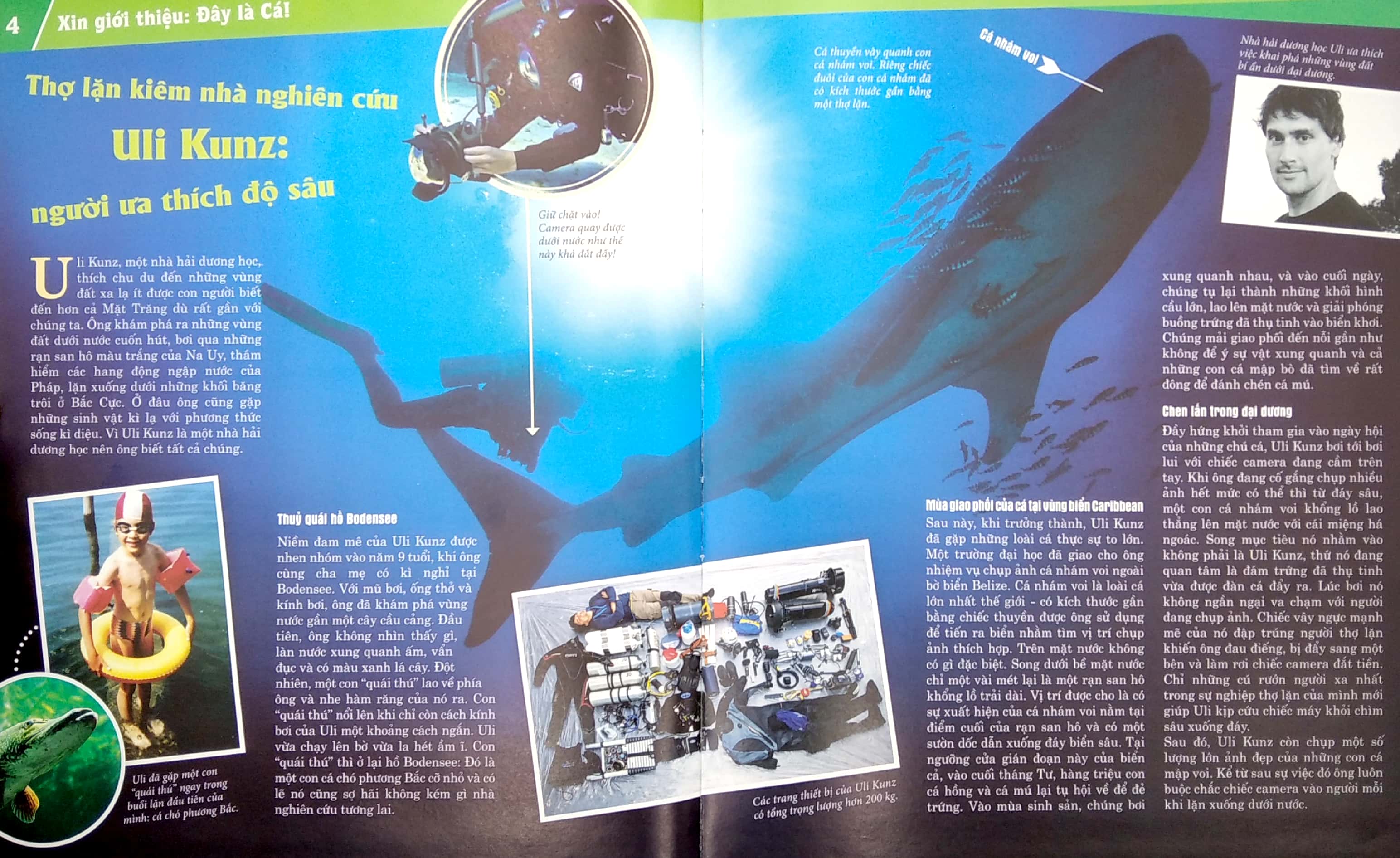 thế nào và tại sao - các loài cá - thế giới diệu kì dưới nước - Ảnh 5