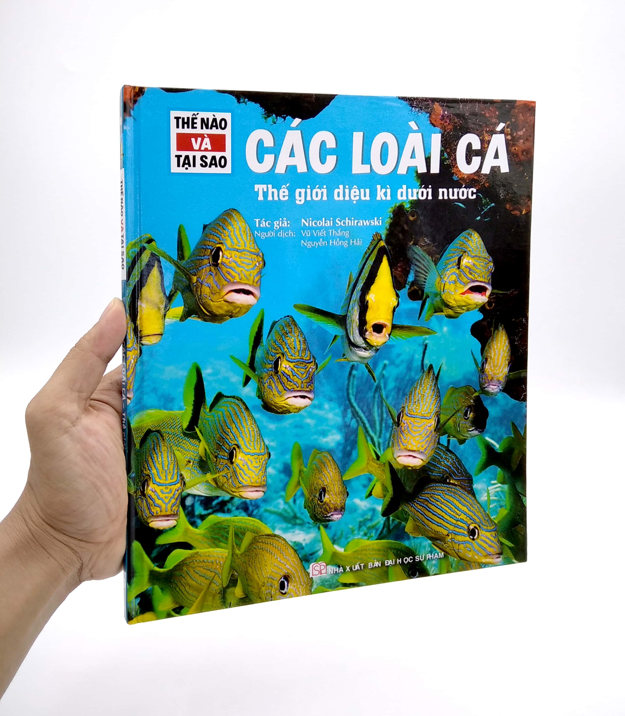 thế nào và tại sao - các loài cá - thế giới diệu kì dưới nước - Ảnh 7