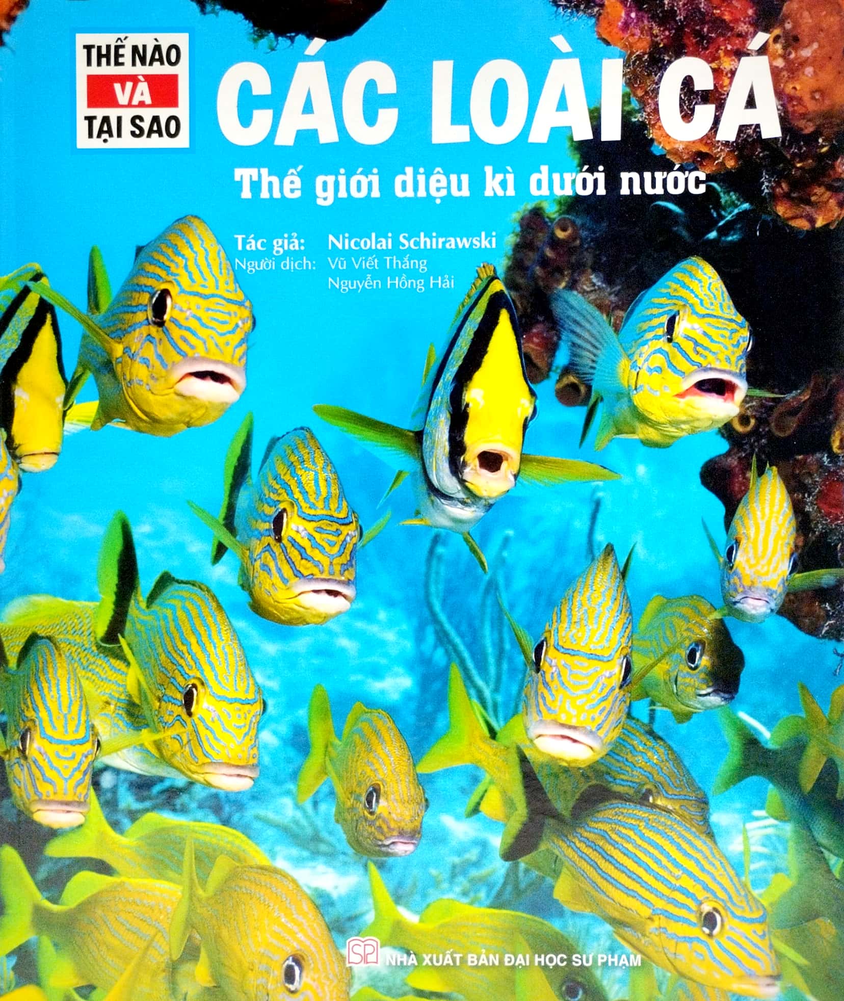 thế nào và tại sao - các loài cá - thế giới diệu kì dưới nước - bìa cứng (tái bản 2023) - Ảnh 2