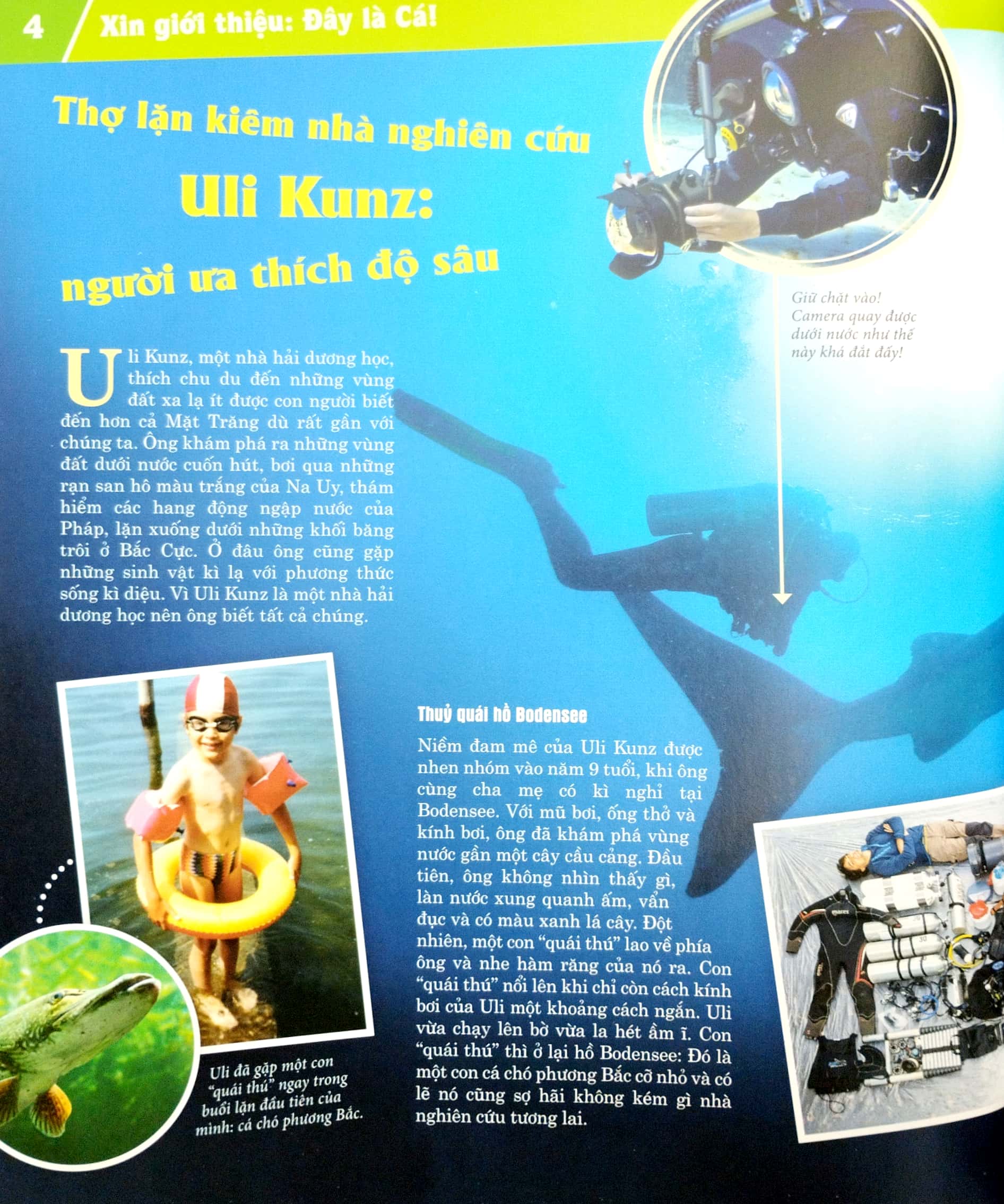 thế nào và tại sao - các loài cá - thế giới diệu kì dưới nước - bìa cứng (tái bản 2023) - Ảnh 4