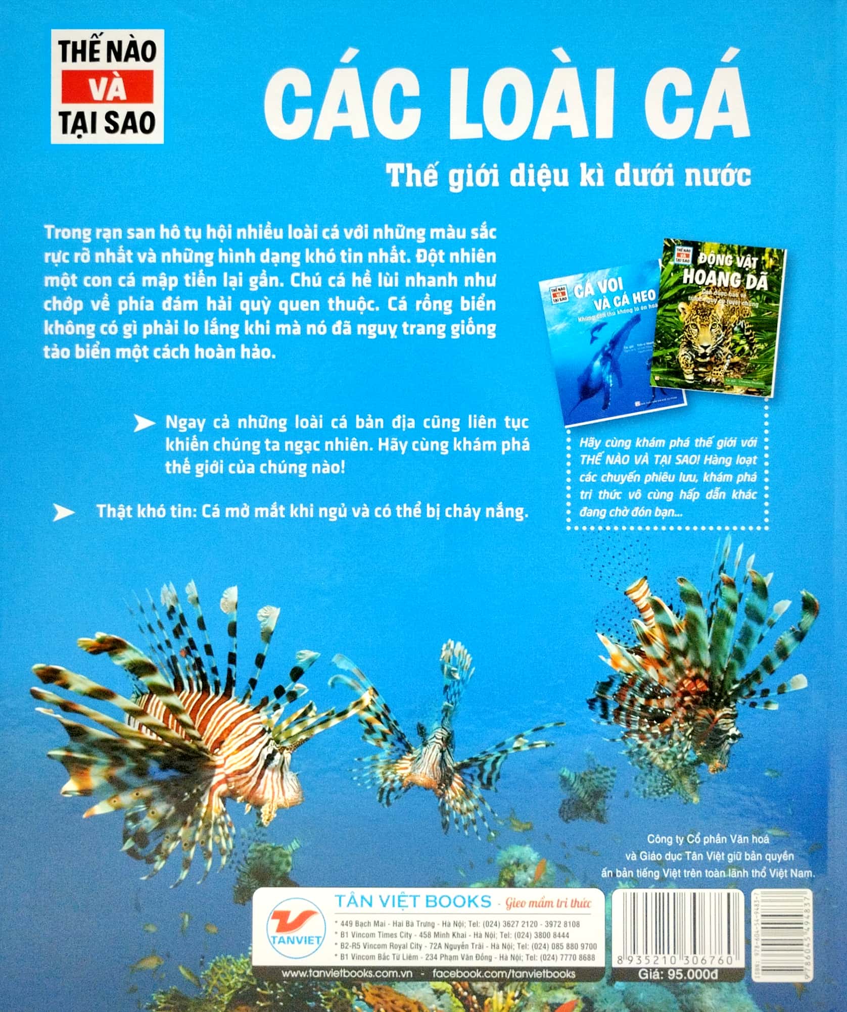 thế nào và tại sao - các loài cá - thế giới diệu kì dưới nước - bìa cứng (tái bản 2023) - Ảnh 6