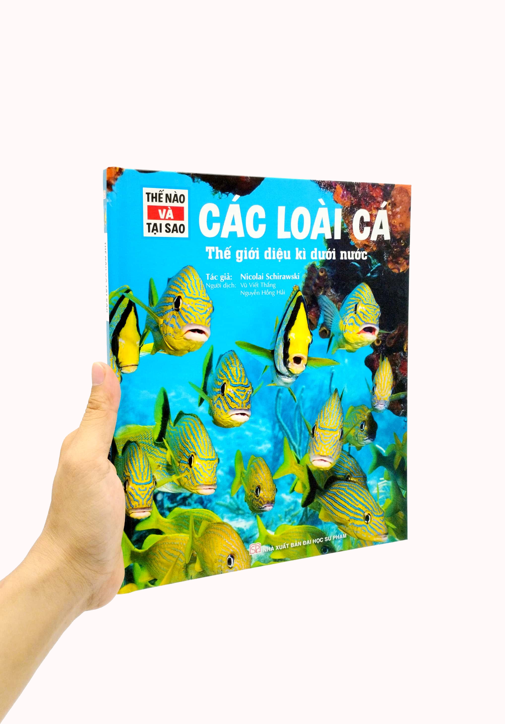 thế nào và tại sao - các loài cá - thế giới diệu kì dưới nước - bìa cứng (tái bản 2023) - Ảnh 7