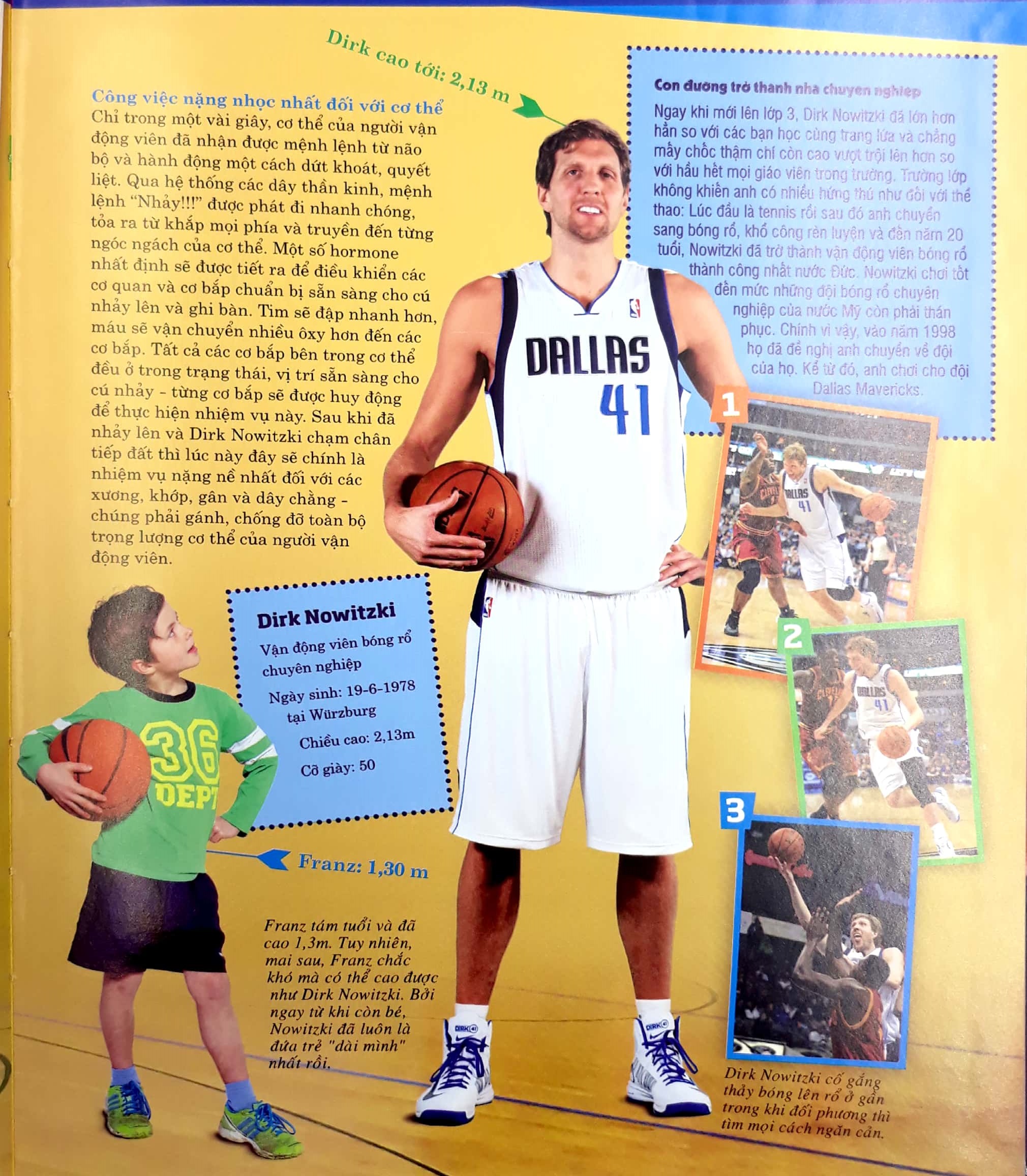 thế nào và tại sao - cơ thể người - tuyệt tác của tạo hóa - bìa cứng (tái bản 2024) - Ảnh 5