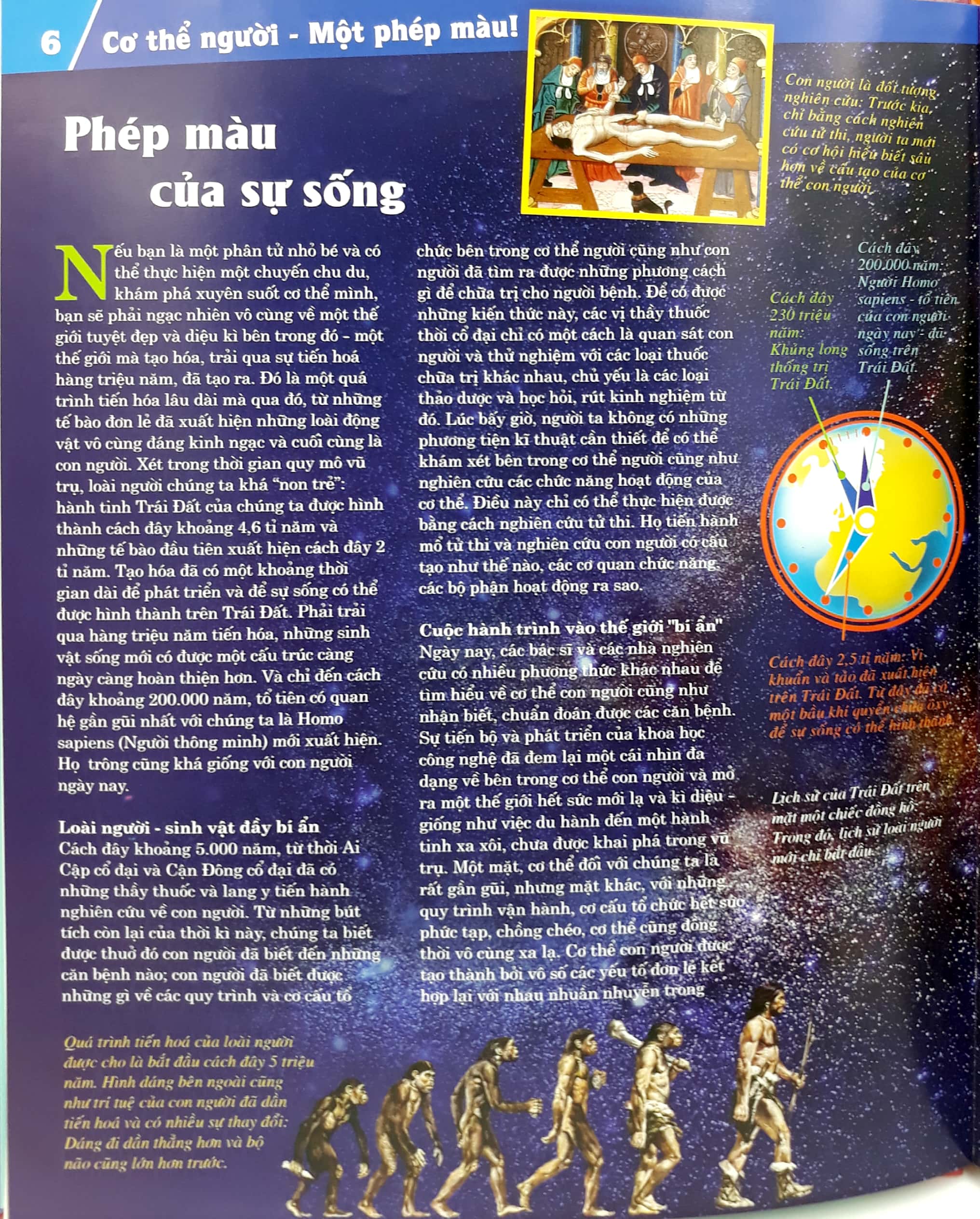 thế nào và tại sao - cơ thể người - tuyệt tác của tạo hóa - bìa cứng (tái bản 2024) - Ảnh 6