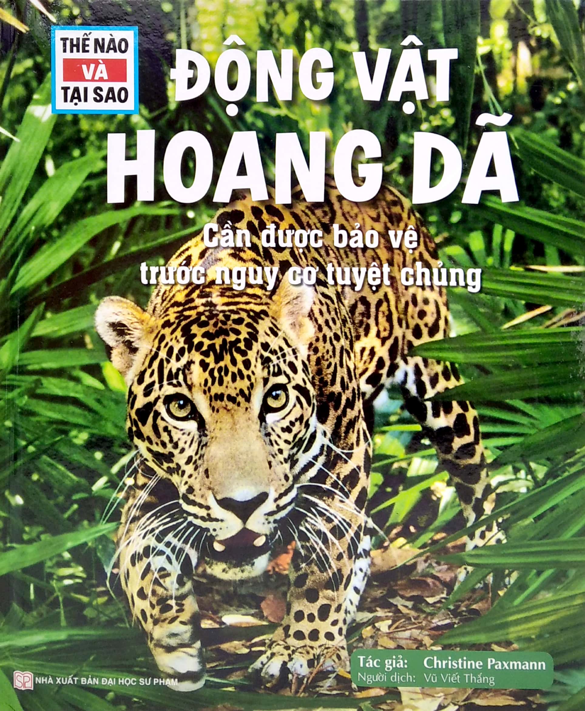 thế nào và tại sao - động vật hoang dã cần được bảo vệ trước nguy cơ tuyệt chủng - Ảnh 2