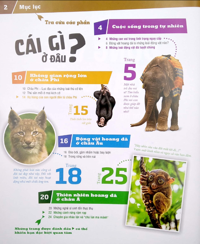 thế nào và tại sao - động vật hoang dã cần được bảo vệ trước nguy cơ tuyệt chủng - Ảnh 3