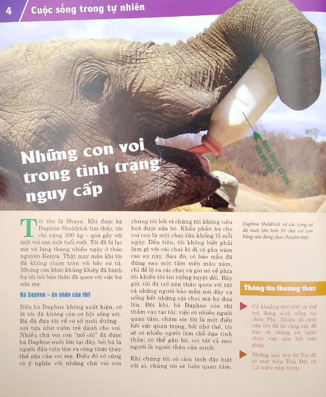 thế nào và tại sao - động vật hoang dã cần được bảo vệ trước nguy cơ tuyệt chủng - Ảnh 5