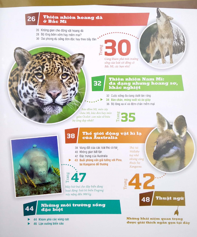 thế nào và tại sao - động vật hoang dã cần được bảo vệ trước nguy cơ tuyệt chủng - Ảnh 6