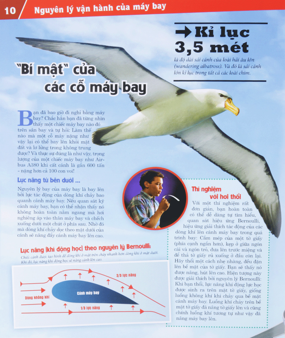 The Nao Va Tai Sao: May Bay - Giac Mo Bay (Tai Ban 2023) - Ảnh 10