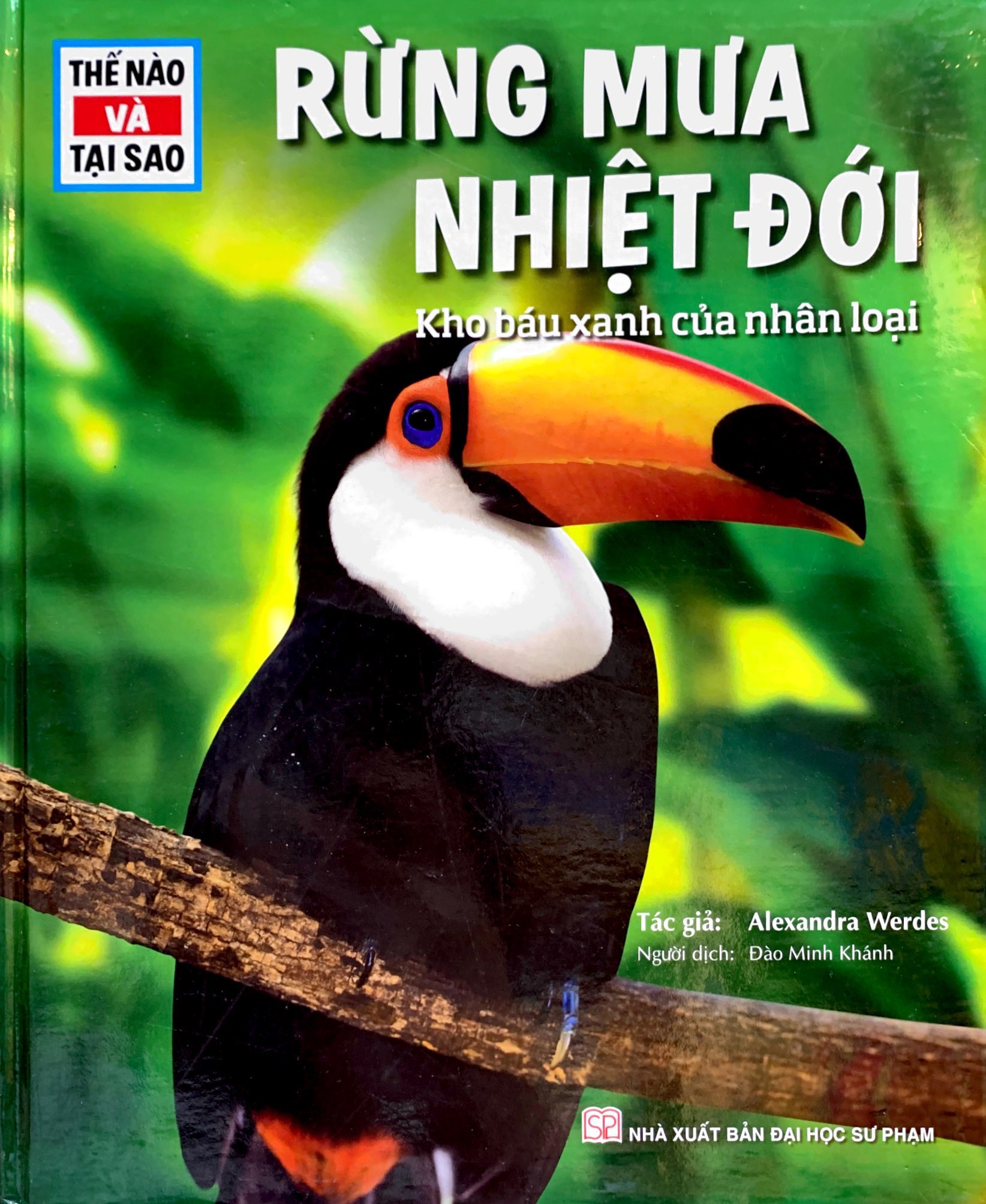 thế nào và tại sao - rừng mưa nhiệt đới - Ảnh 2
