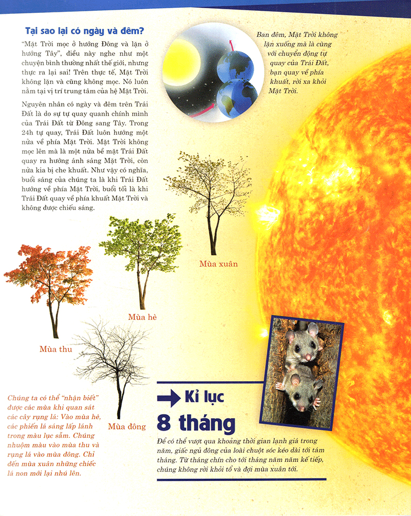 thế nào và tại sao - trái đất của chúng ta - hành tinh xanh (tái bản) - Ảnh 16