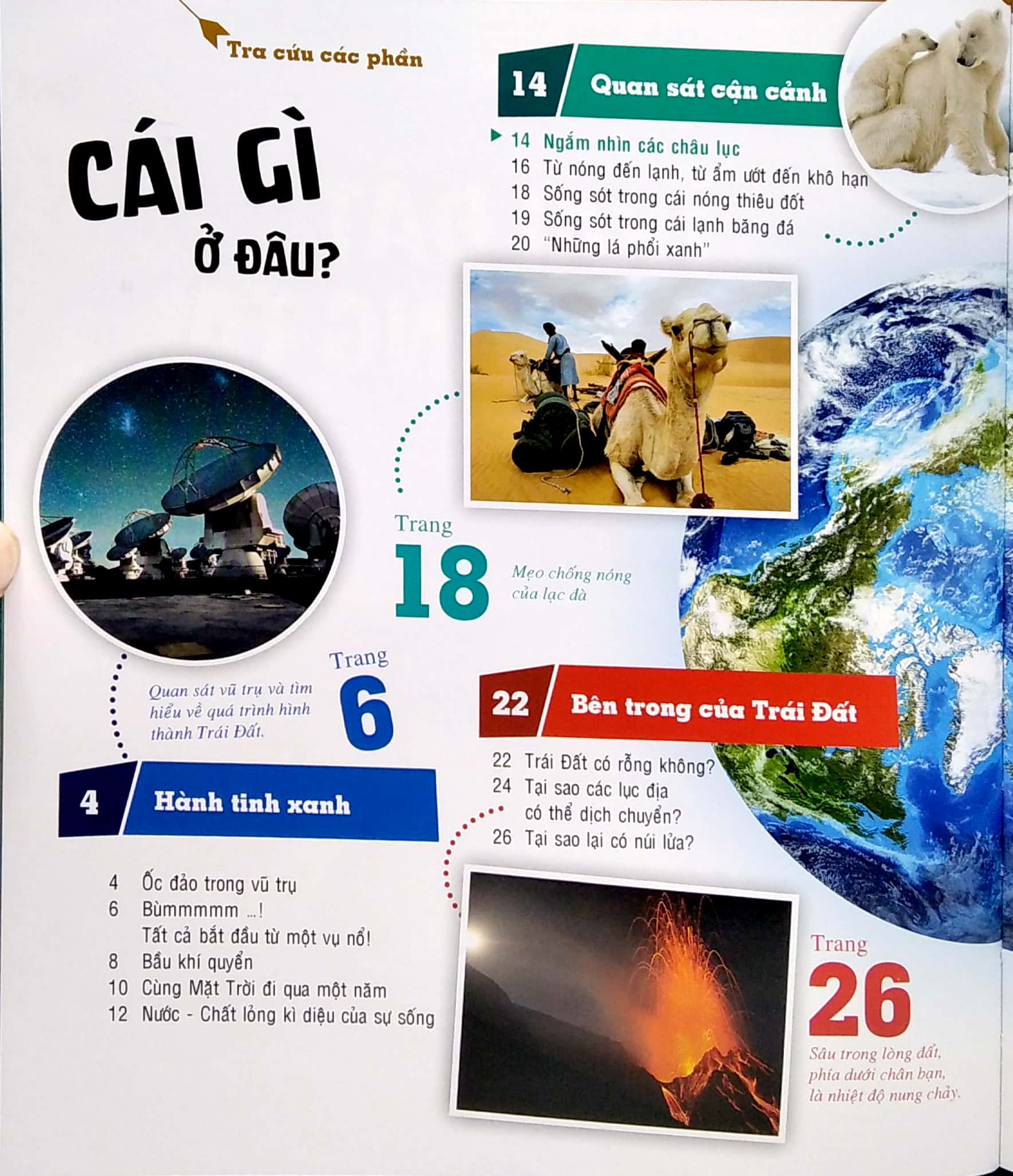 thế nào và tại sao - trái đất của chúng ta - hành tinh xanh (tái bản) - Ảnh 5