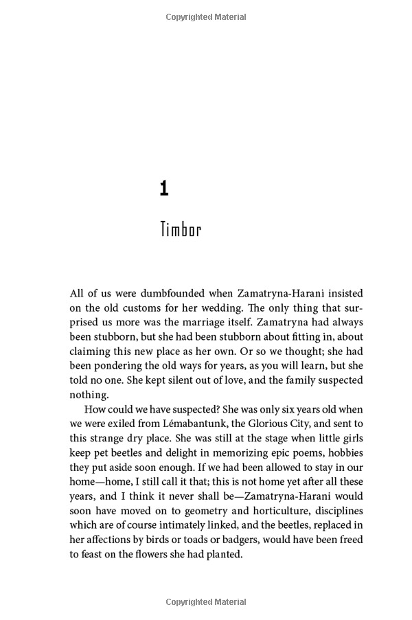 the necessary beggar - Ảnh 6