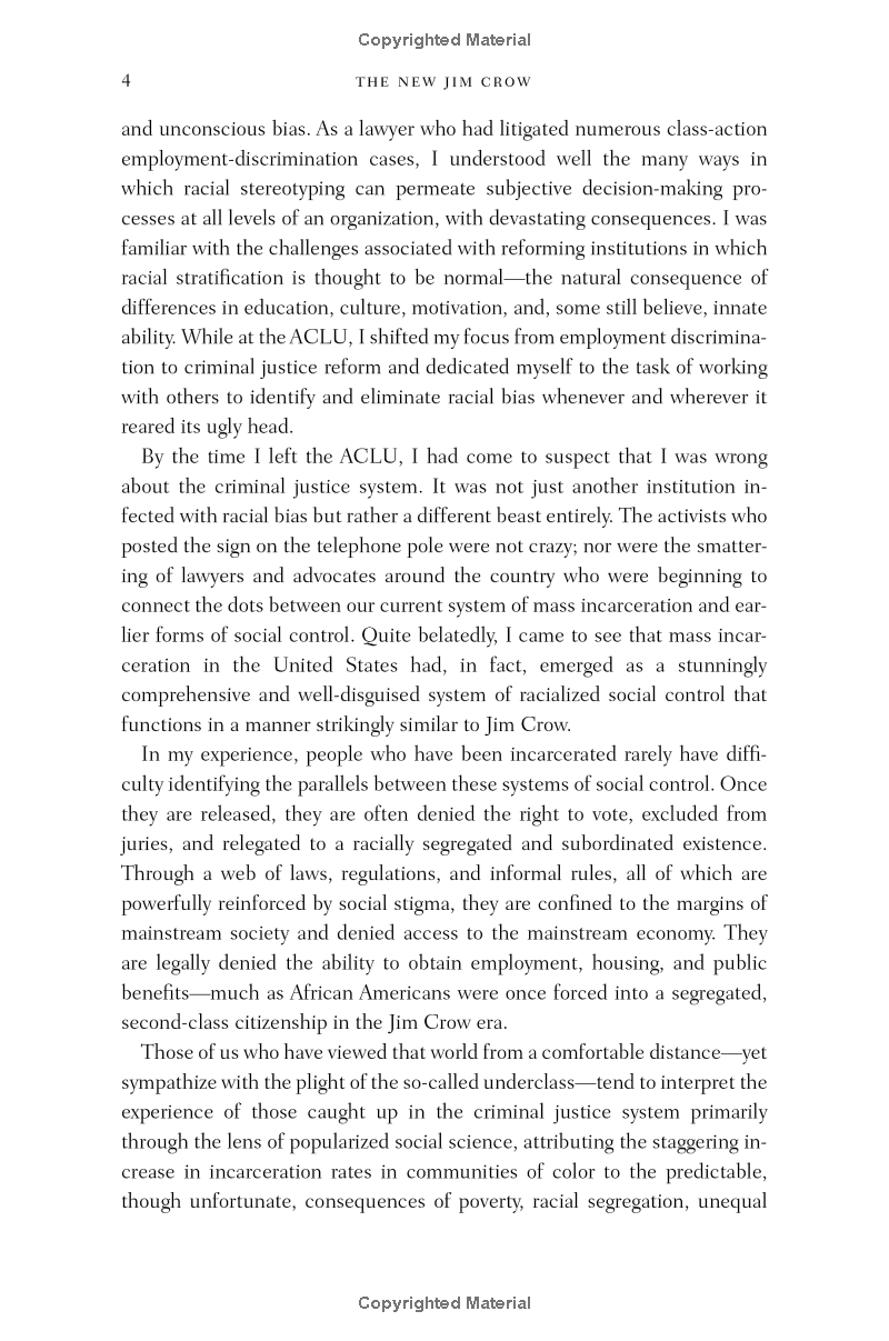 the new jim crow - Ảnh 12