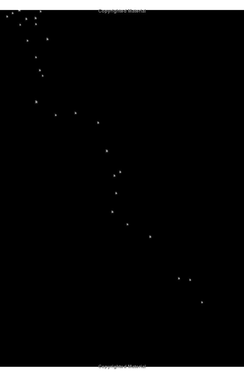 the night circus (exp) - Ảnh 9