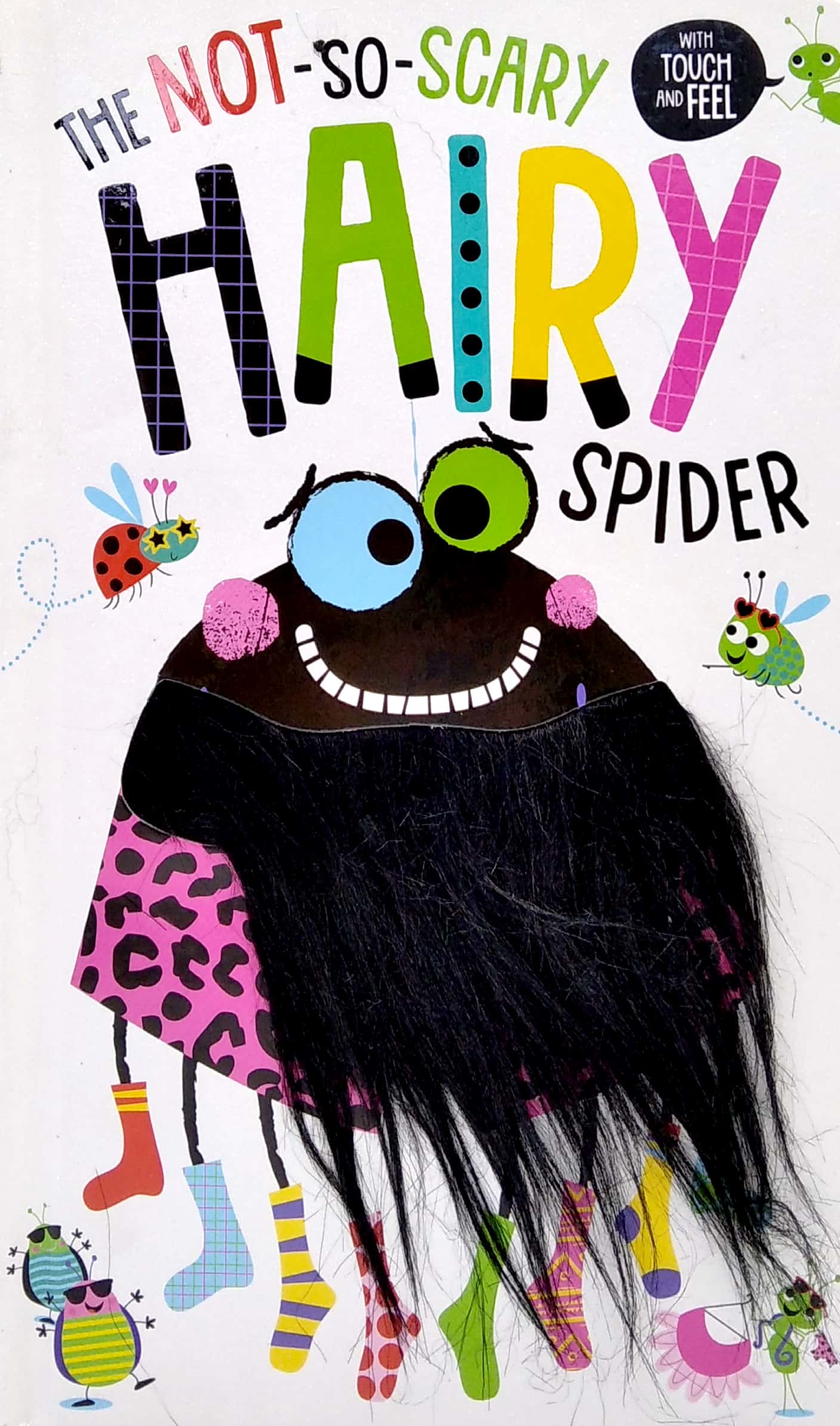 the not-so-scary hairy spider - Ảnh 2