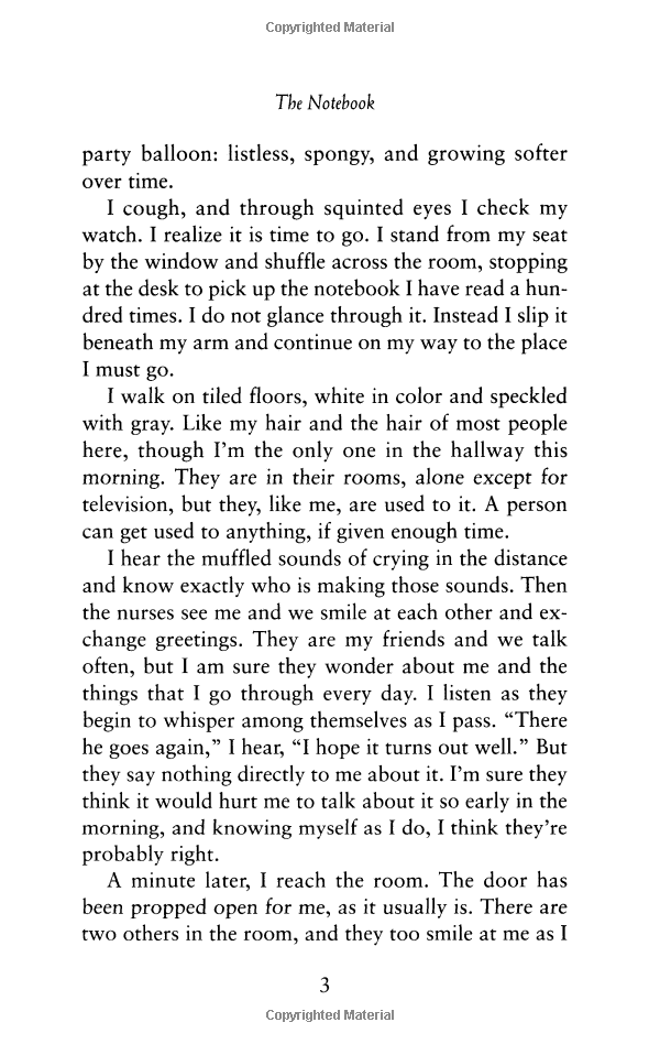 The Notebook - Ảnh 6