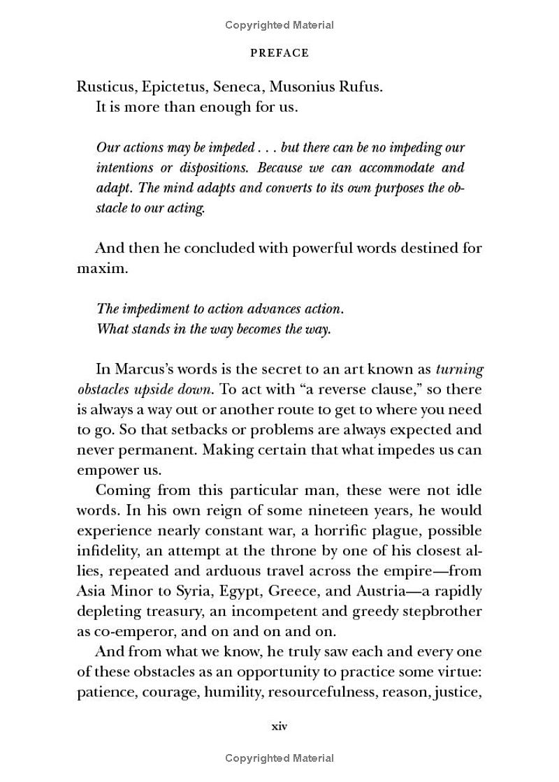 the obstacle is the way - Ảnh 7