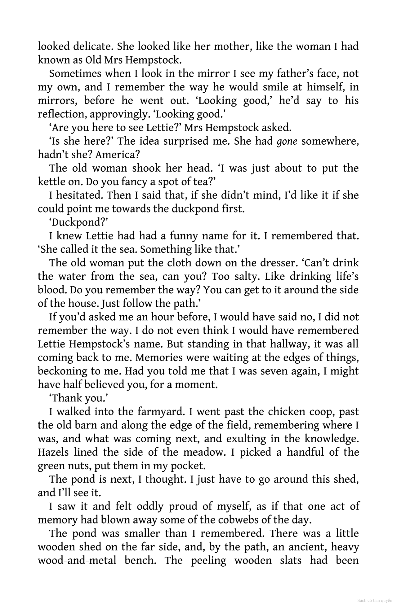 the ocean at the end of the lane - Ảnh 13