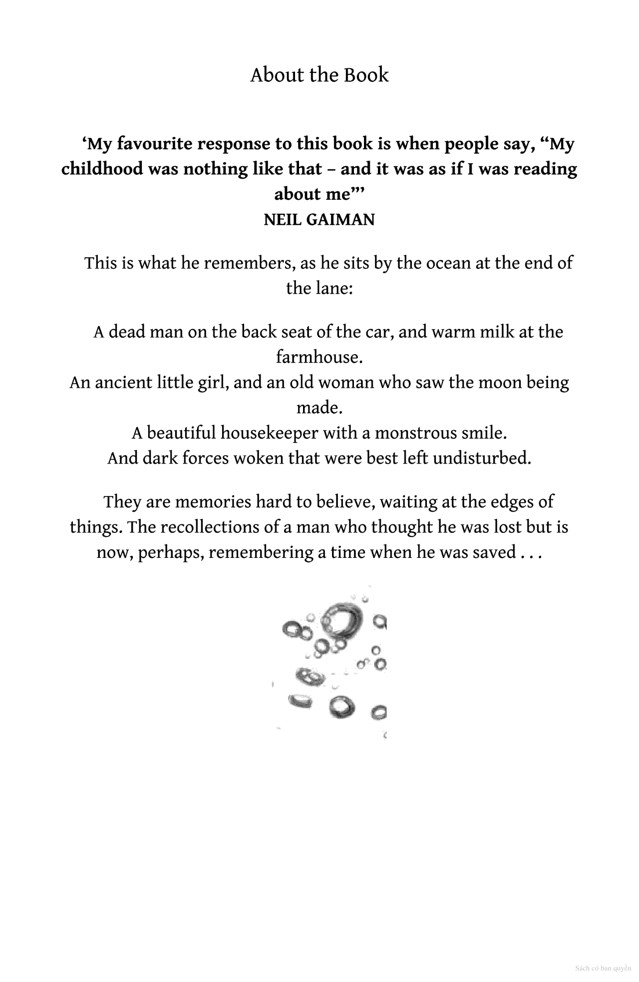 the ocean at the end of the lane - Ảnh 8