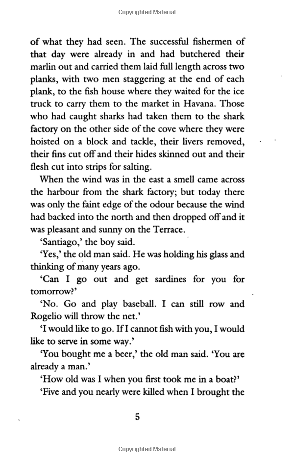 the old man and the sea - Ảnh 10