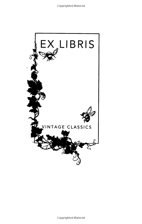 the old man and the sea - Ảnh 3