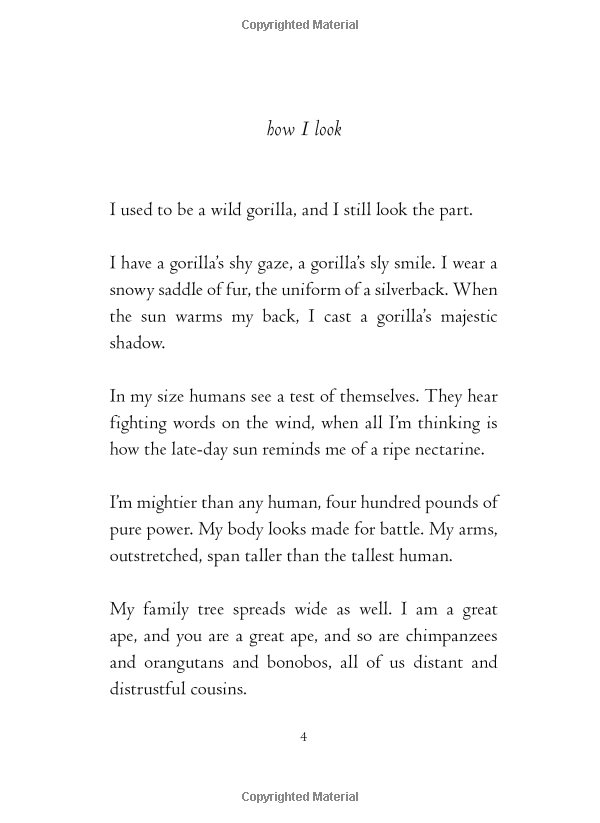 the one and only ivan - Ảnh 6