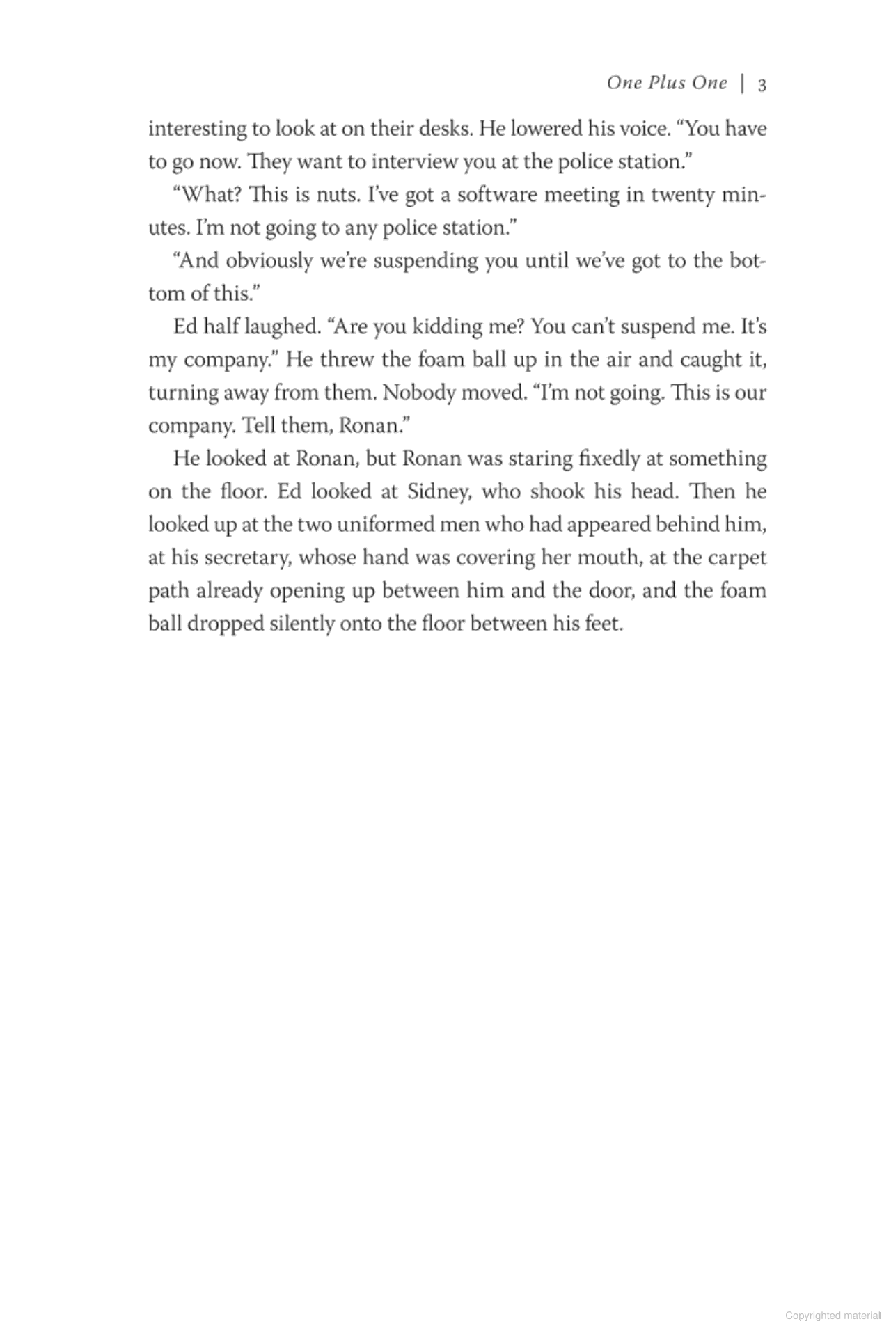 the one plus one - Ảnh 4