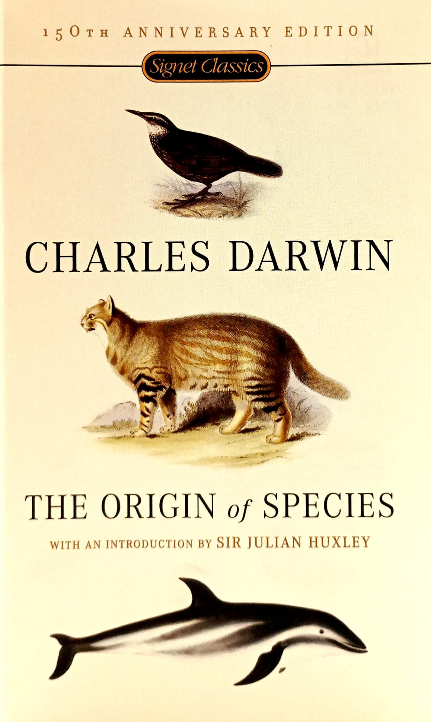 the origin of species - Ảnh 3
