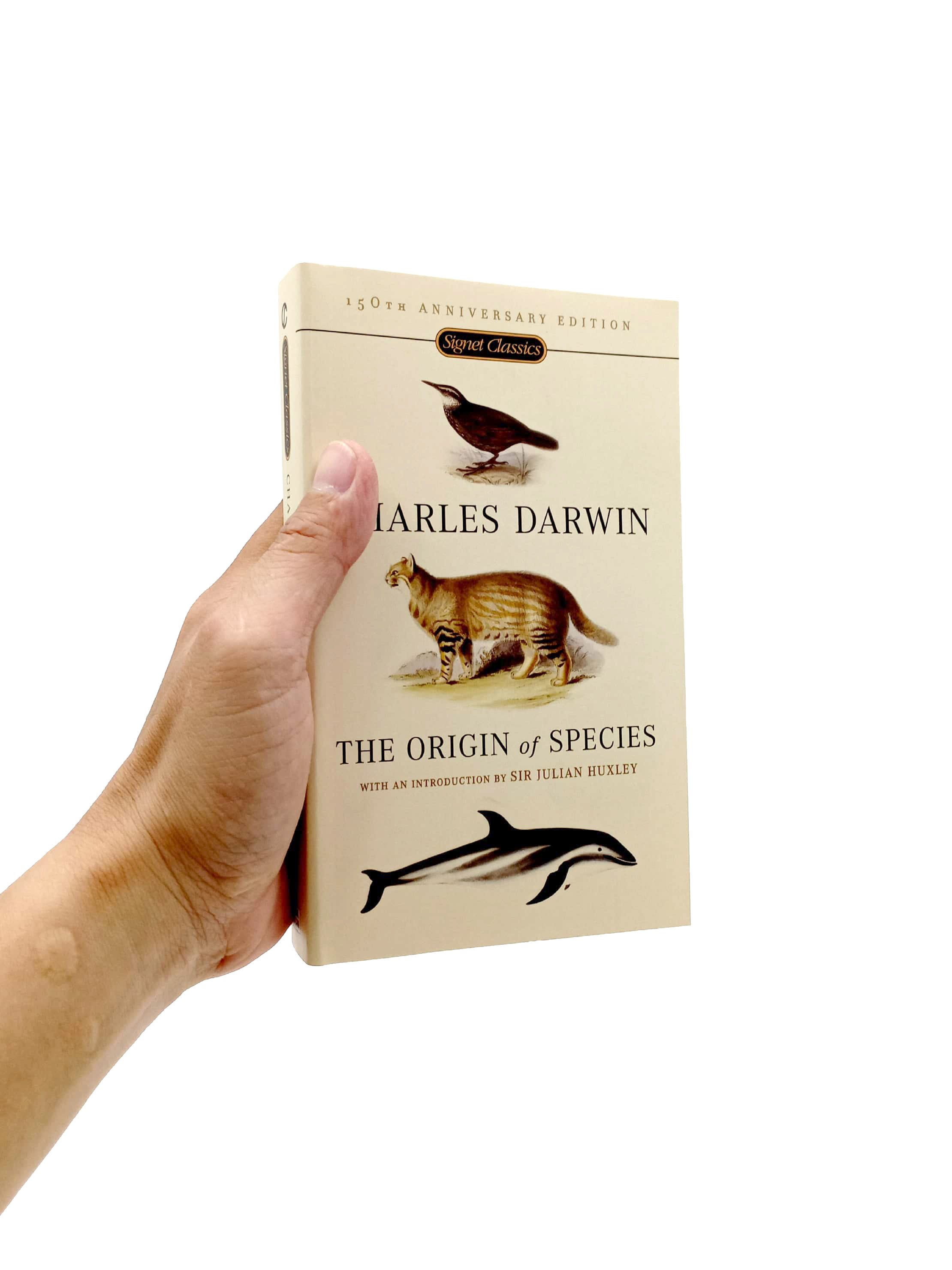 the origin of species - Ảnh 8