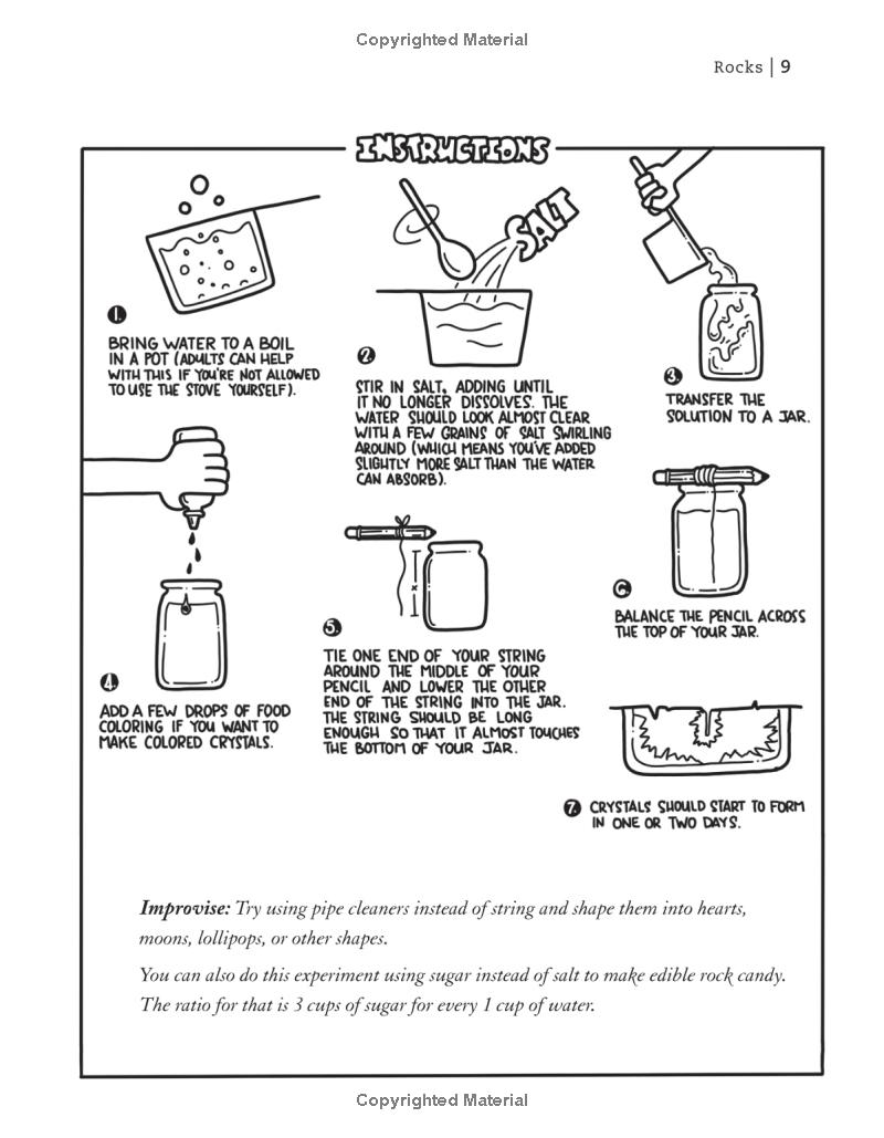 the outdoor scientist: the wonder of observing the natural world - Ảnh 10