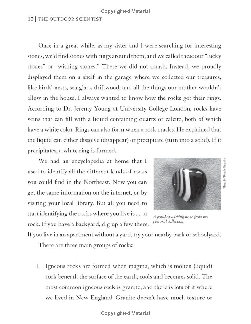 the outdoor scientist: the wonder of observing the natural world - Ảnh 11