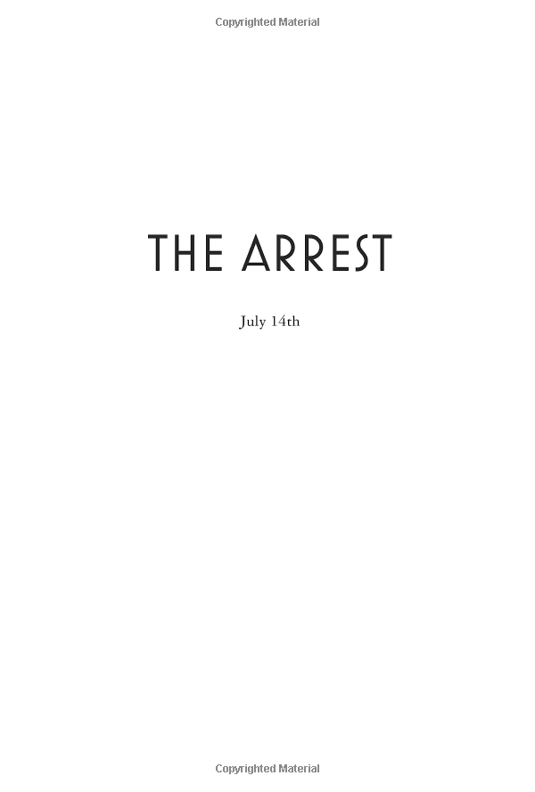 the outsider - Ảnh 3