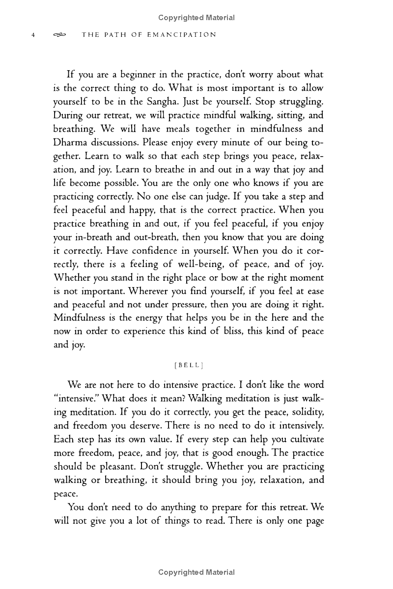 the path of emancipation - Ảnh 10