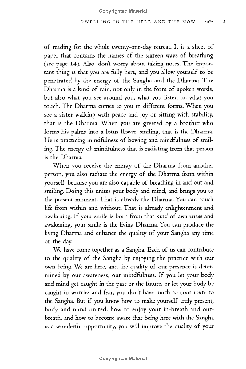 the path of emancipation - Ảnh 11