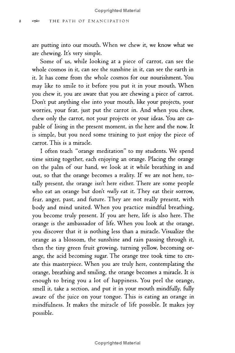 the path of emancipation - Ảnh 14