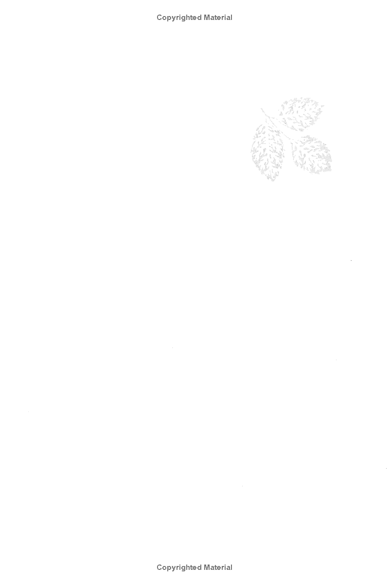 the path of emancipation - Ảnh 3