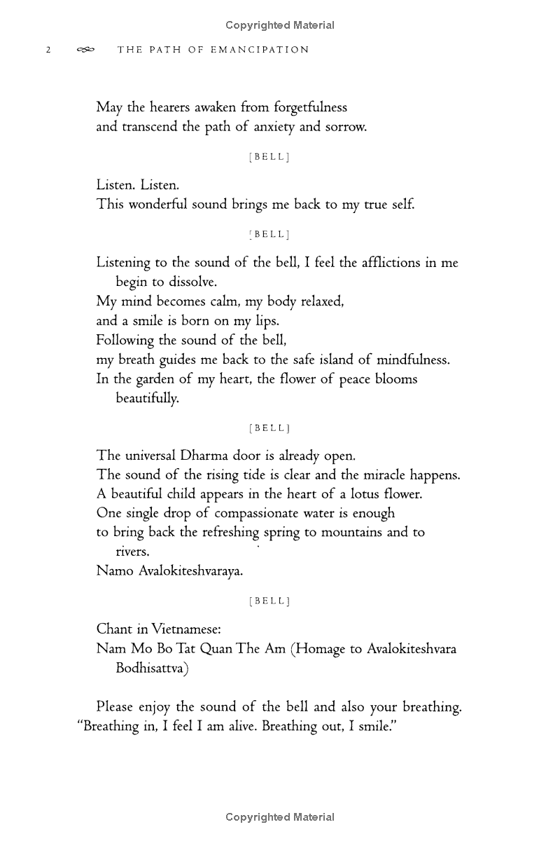 the path of emancipation - Ảnh 8