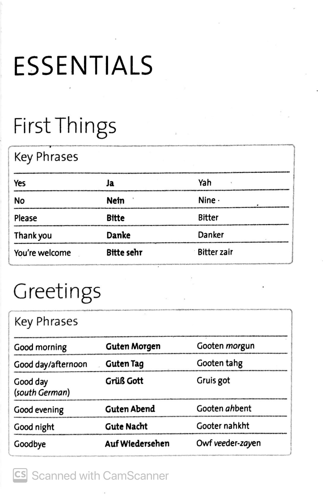 the penguin german phrasebook (phrase book, penguin) - Ảnh 4