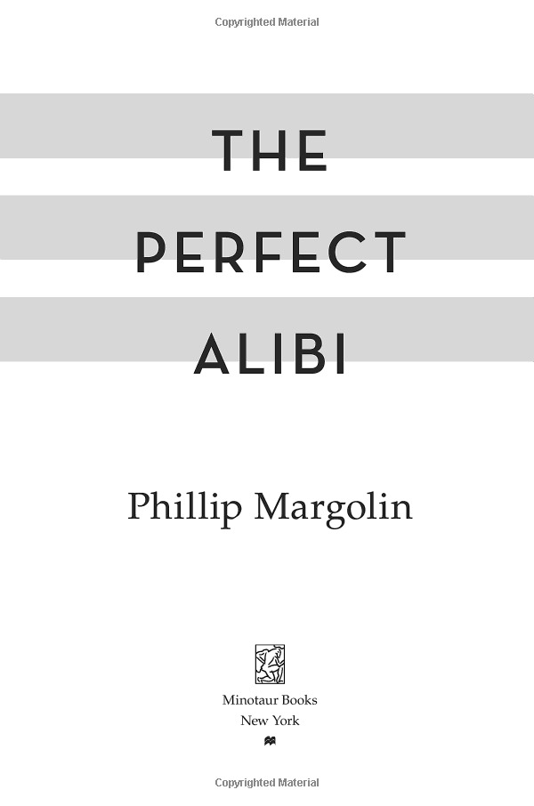 the perfect alibi: a novel (robin lockwood) - Ảnh 3