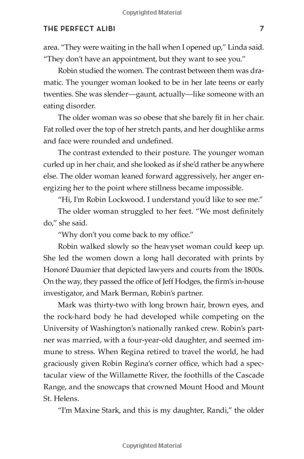 the perfect alibi: a novel (robin lockwood) - Ảnh 9