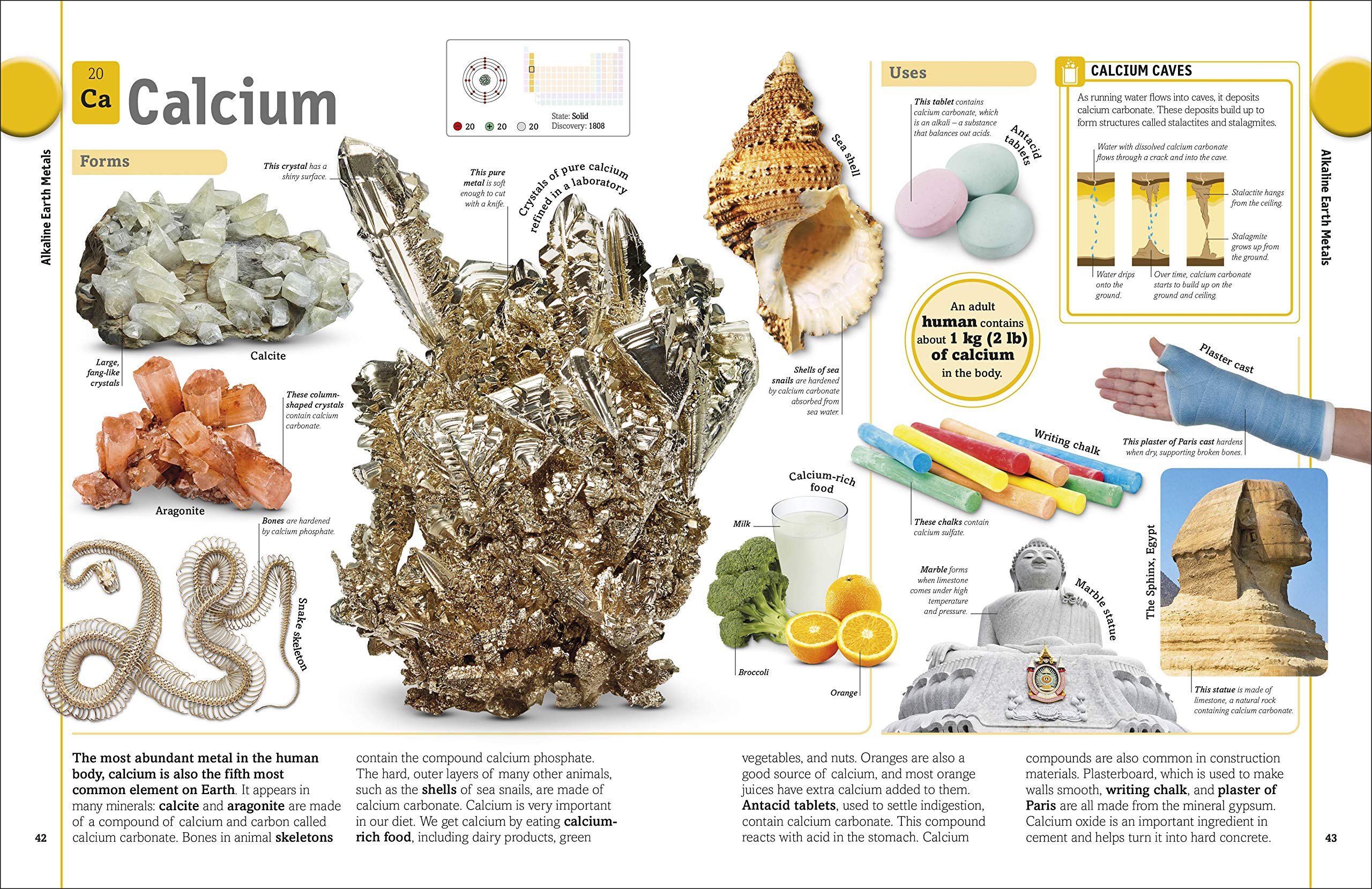 the periodic table book: a visual encyclopedia of the elements - Ảnh 3