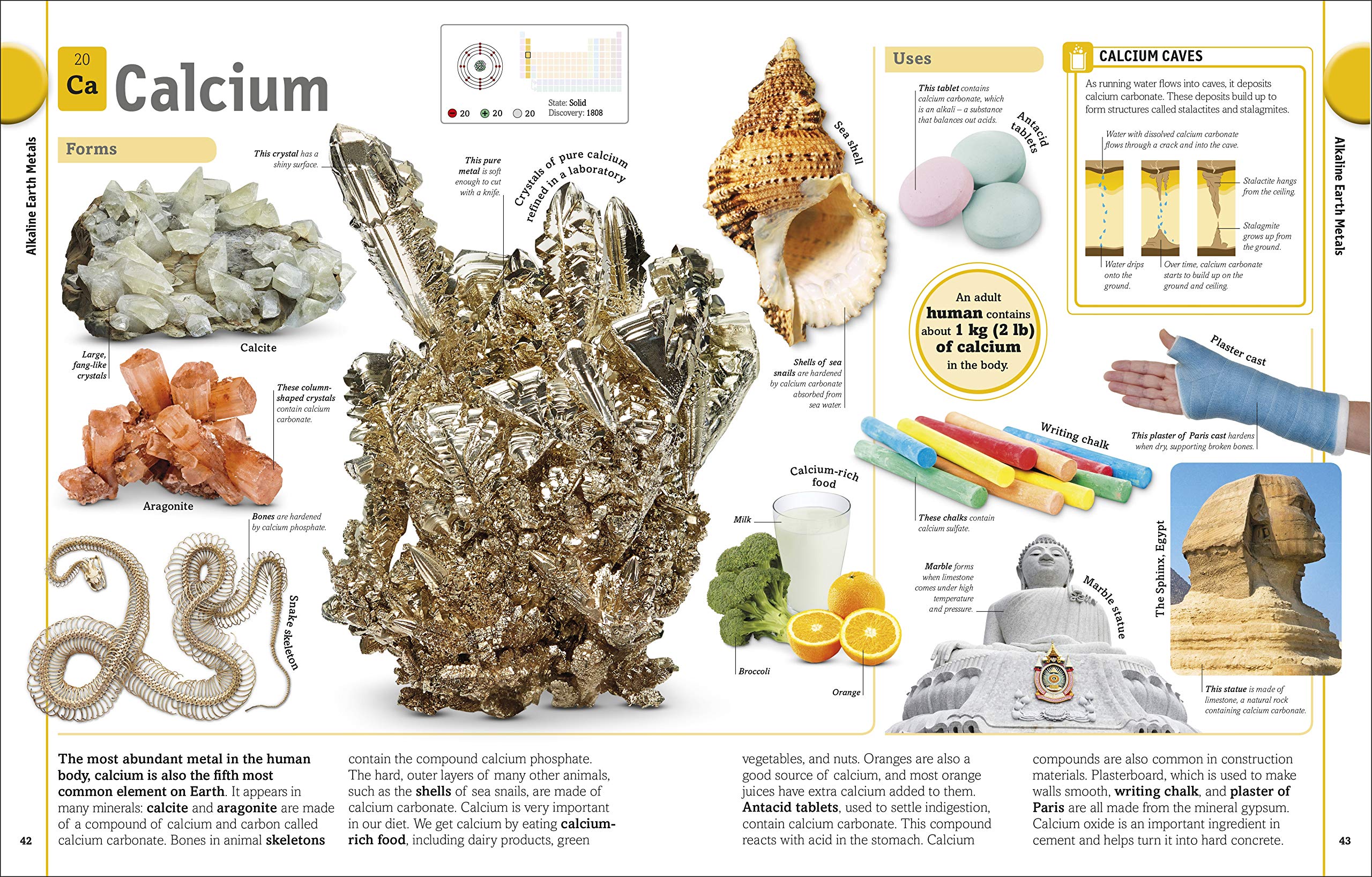 the periodic table book: a visual encyclopedia of the elements - Ảnh 8