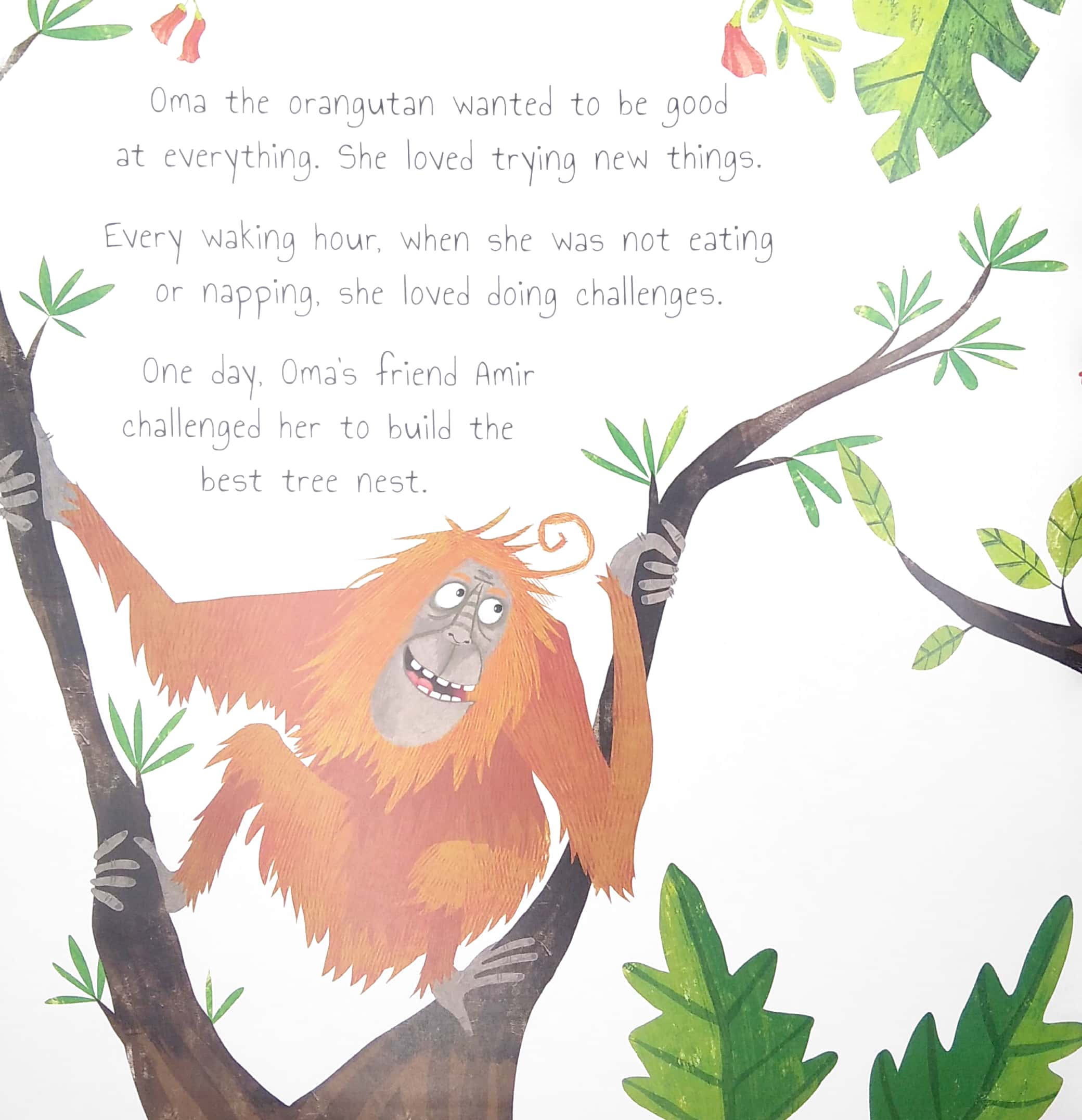 the plucky orangutan - Ảnh 3