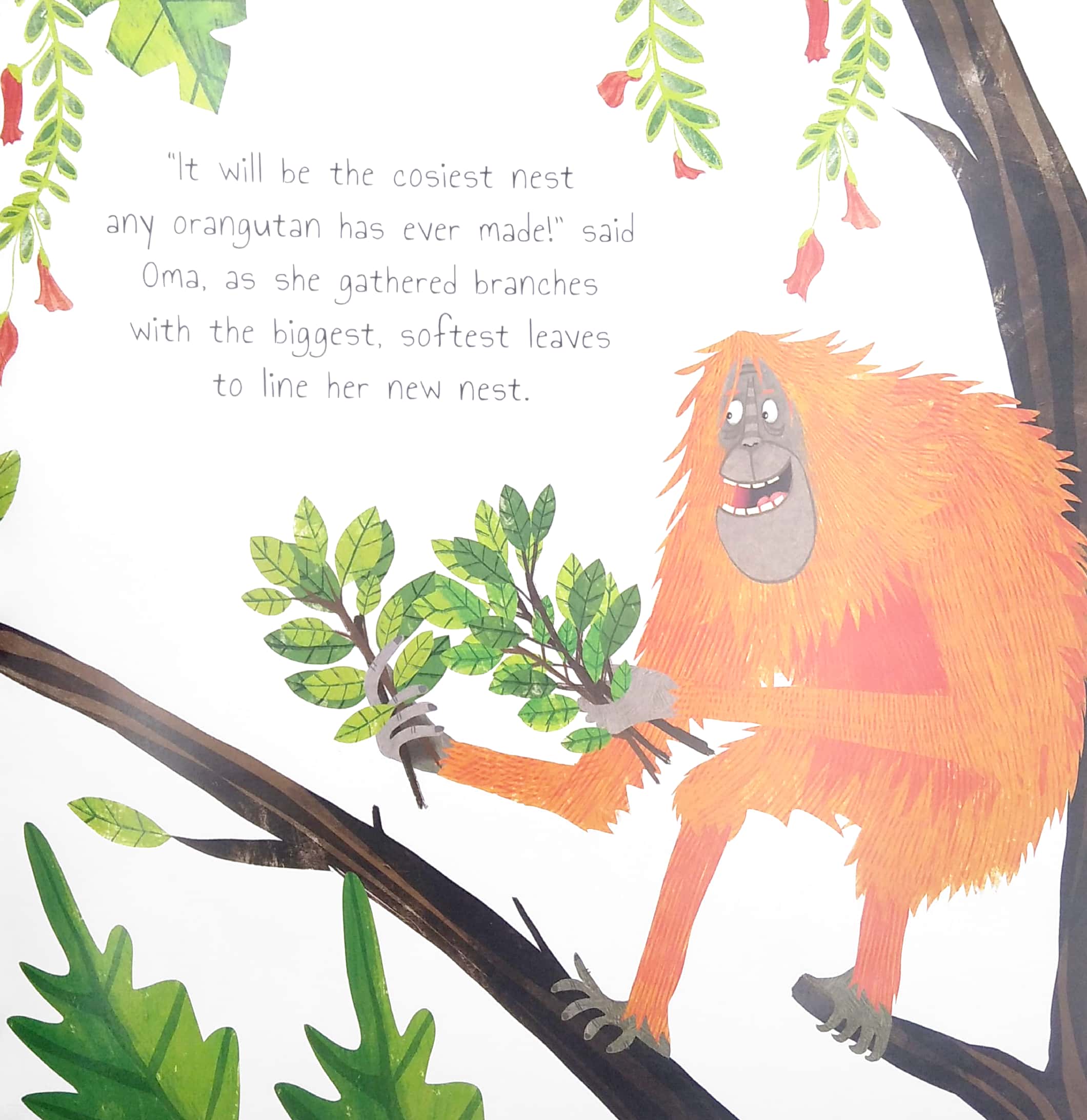 the plucky orangutan - Ảnh 4