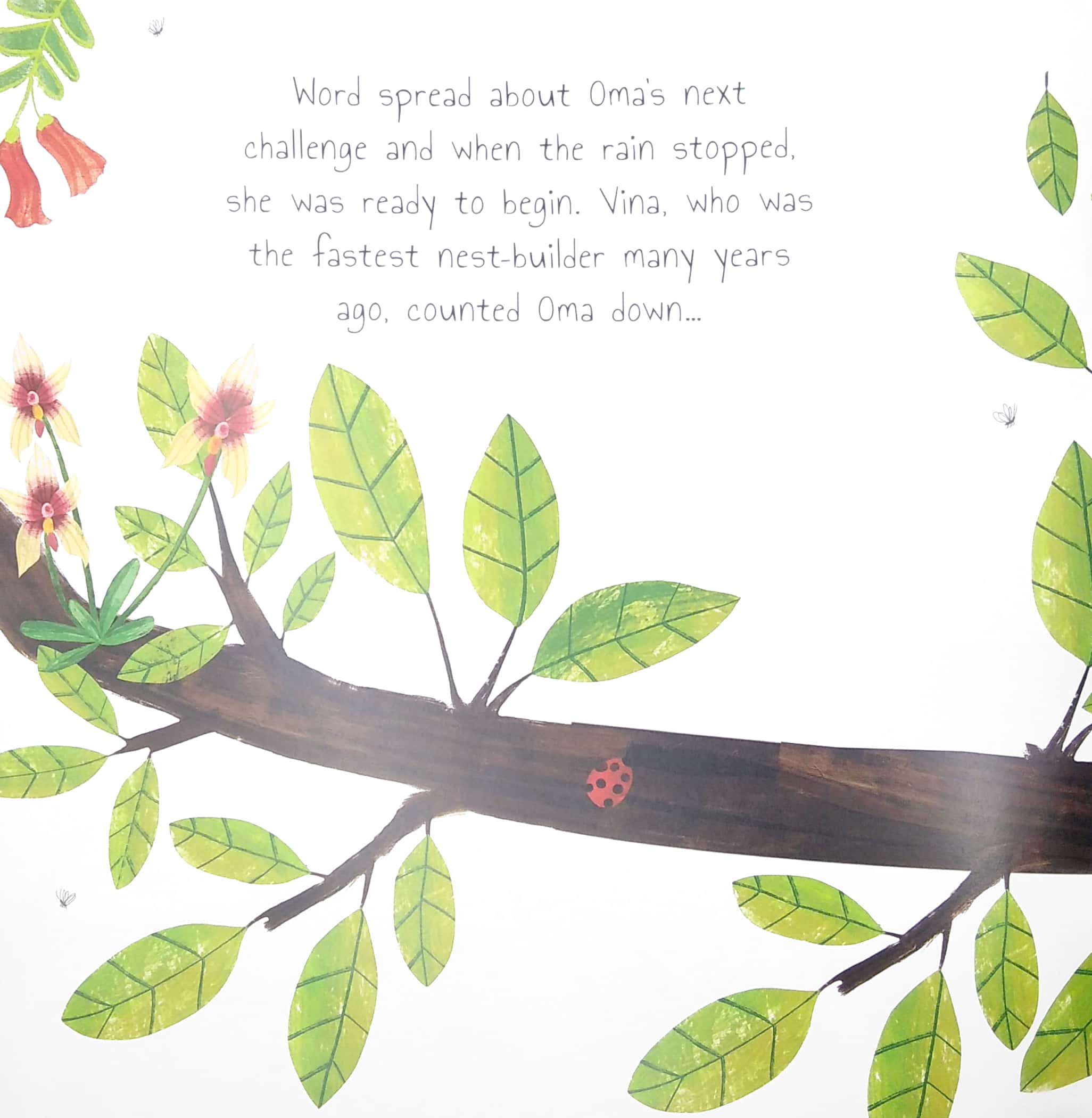 the plucky orangutan - Ảnh 5