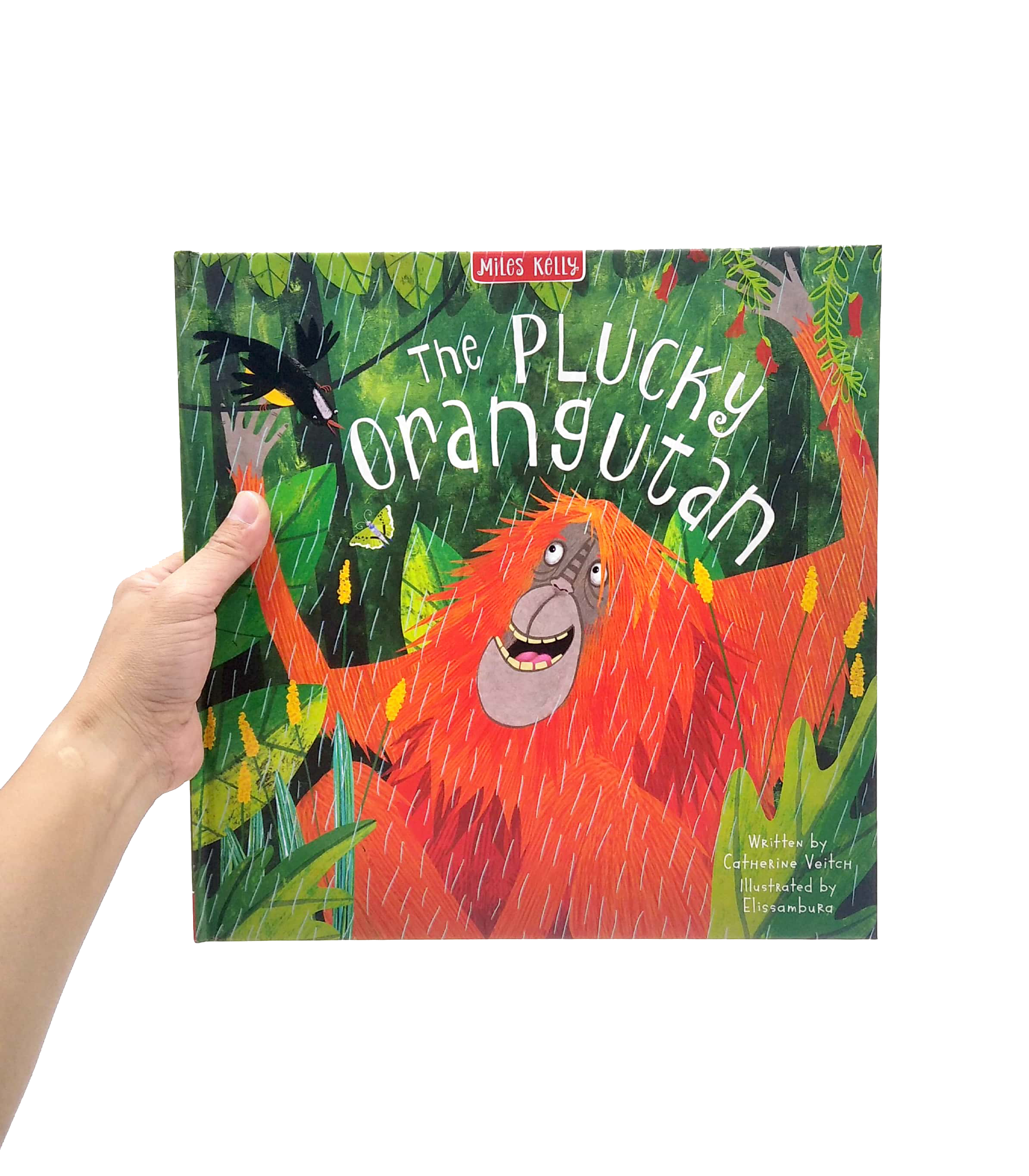 the plucky orangutan - Ảnh 7