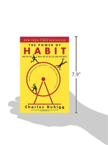the power of habit: why we do what we do in life and business - Ảnh 4